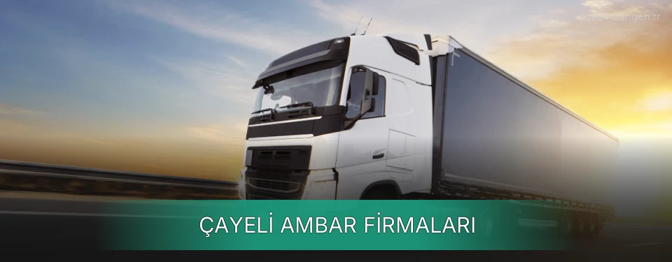 Çayeli Ambar Taşımacılık